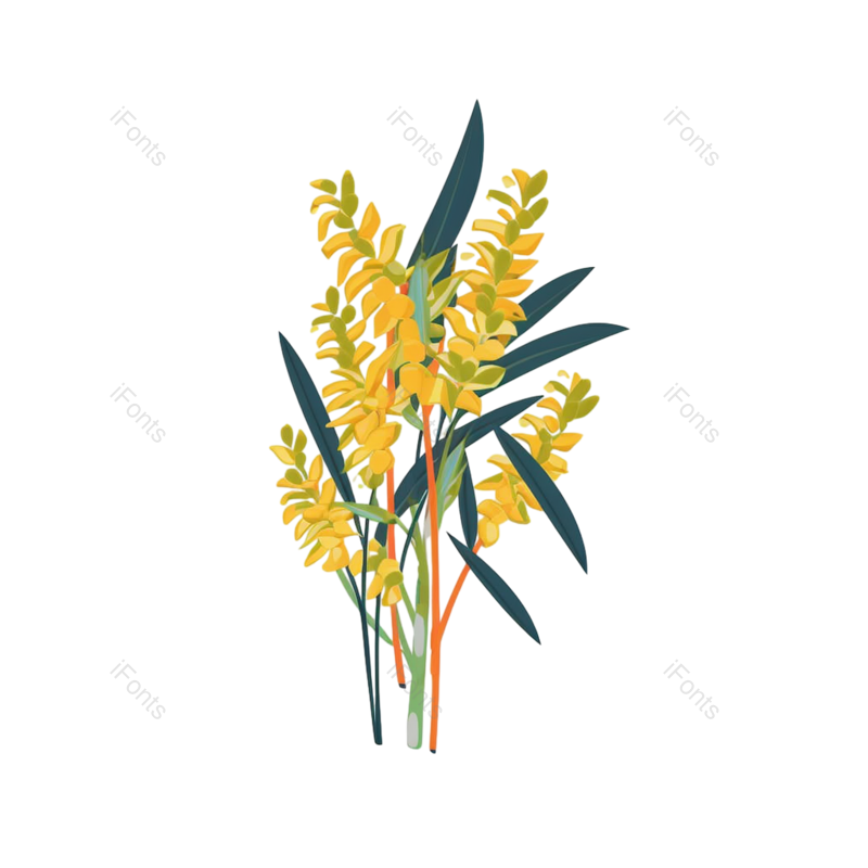 叶子图片,元素元素,插画PNG,绿叶免抠素材